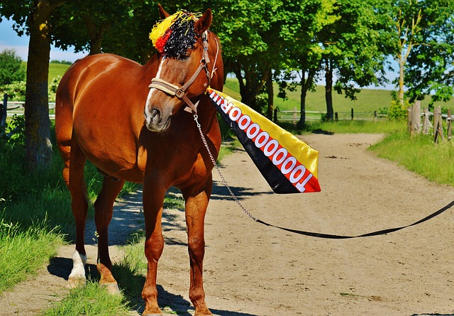 德罗西取热那亚生涯首胜，率队时隔239天再次意甲主场赢球