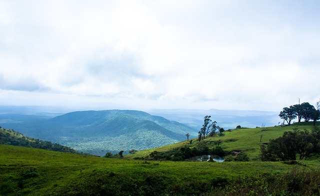 功能切换自 功能切换自