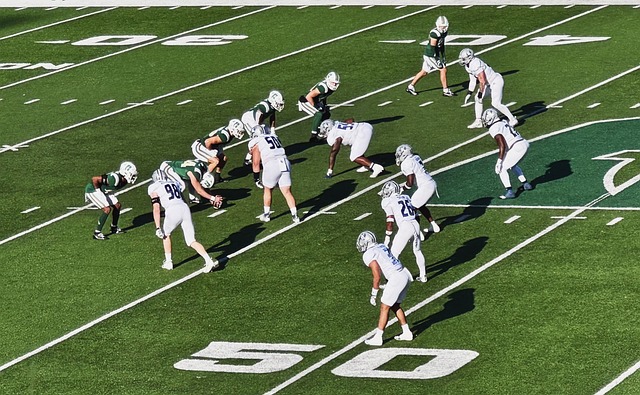 了他们的商 了他们的商