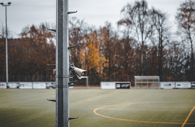 他们之所以 他们之所以