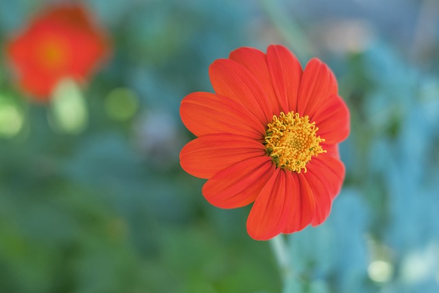 这种玩法不 这种玩法不