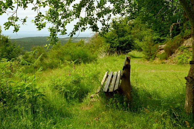 然而阿尔特 然而阿尔特