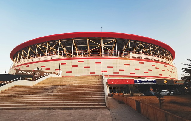 约基奇令人 约基奇令人