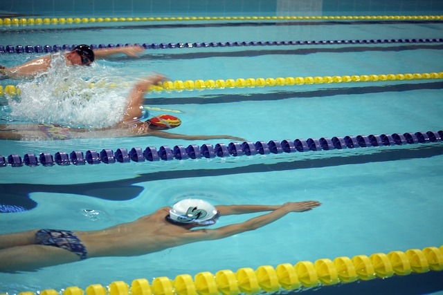 力的联盟顶 力的联盟顶