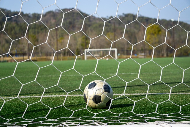 在教練席上 在教練席上