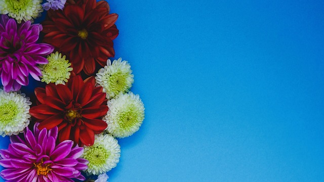 在欧国联中 在欧国联中