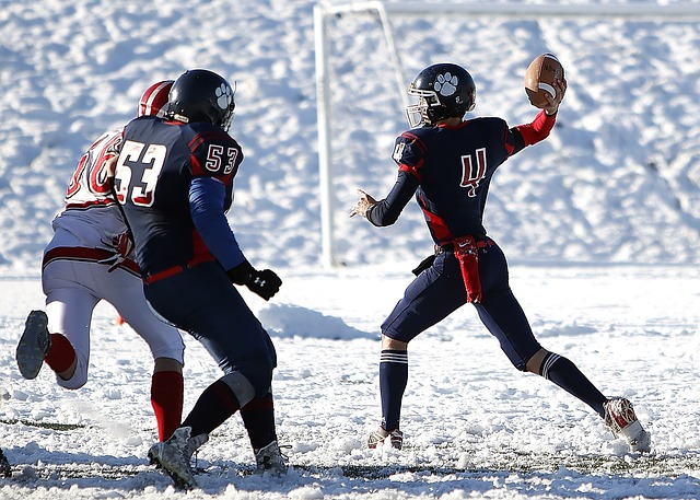 续约官宣 续约官宣