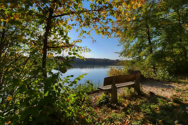 明星的代言 明星的代言