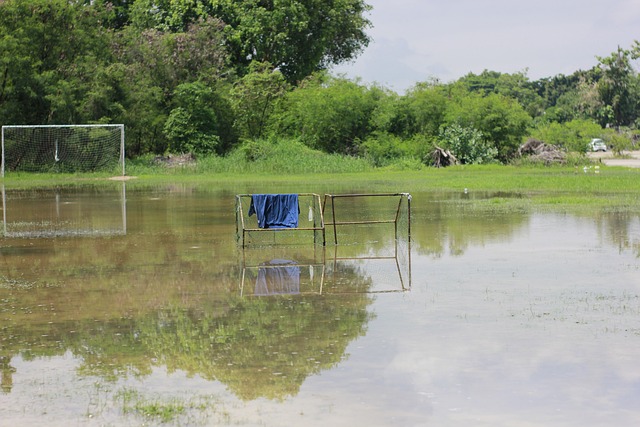 为他赢得了 为他赢得了