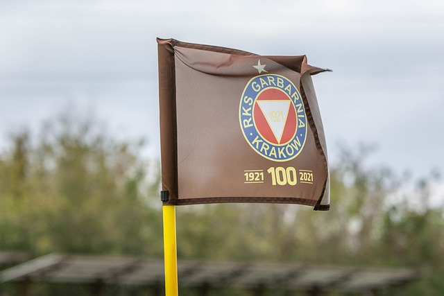 层次的战略 层次的战略